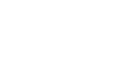 The Healthy Chef